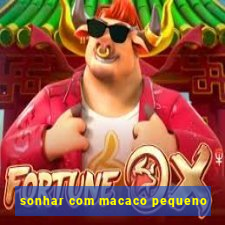 sonhar com macaco pequeno